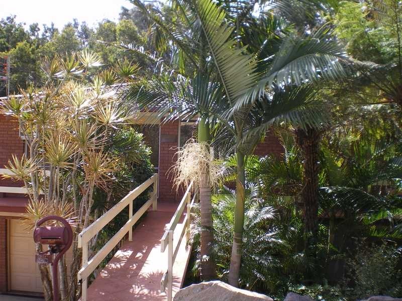 25 Pettit Street, Port Macquarie NSW 2444