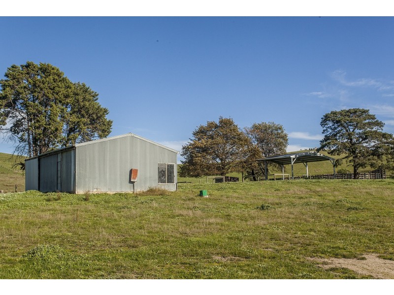 151 Wills Road, Dixons Creek VIC 3775