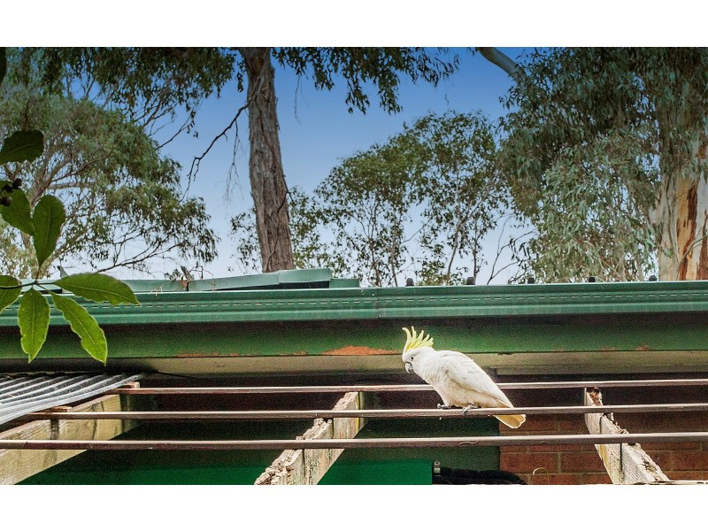 32A Irvine Street, Mount Evelyn VIC 3796