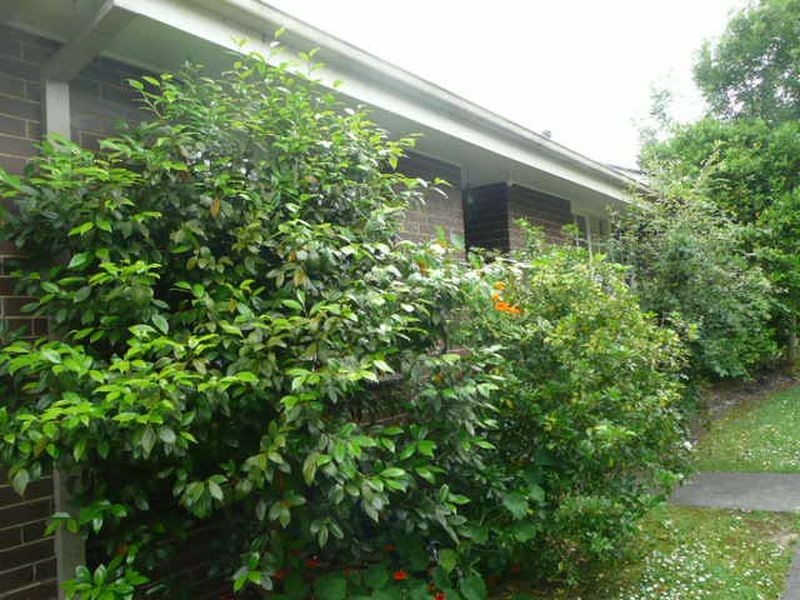 3/189 Bayswater Road, Bayswater VIC 3153