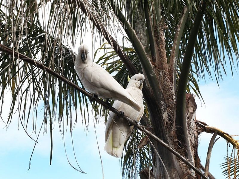 191 Hayrick Lane, Mooroolbark VIC 3138