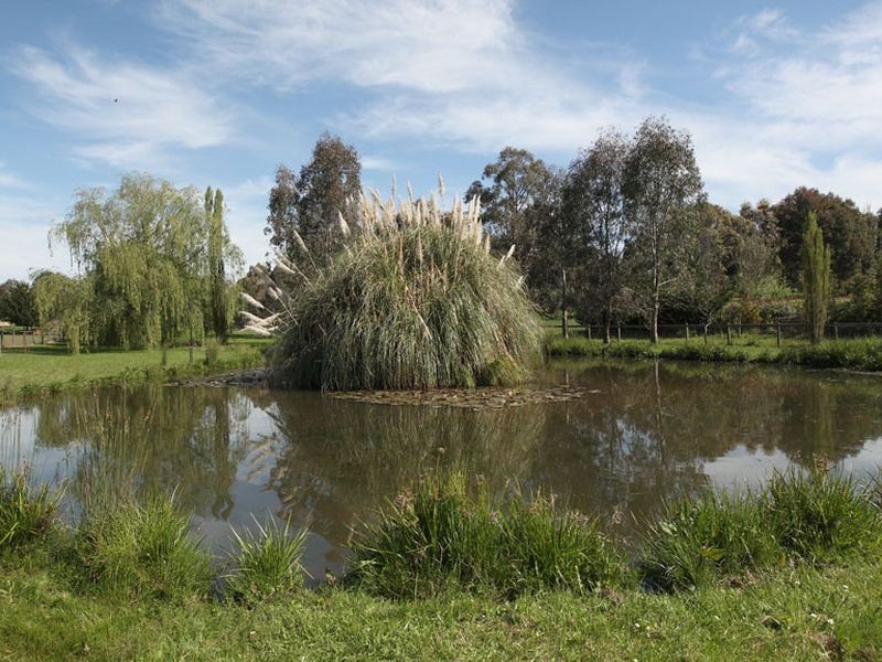 9 Honeysuckle Way, Chirnside Park VIC 3116