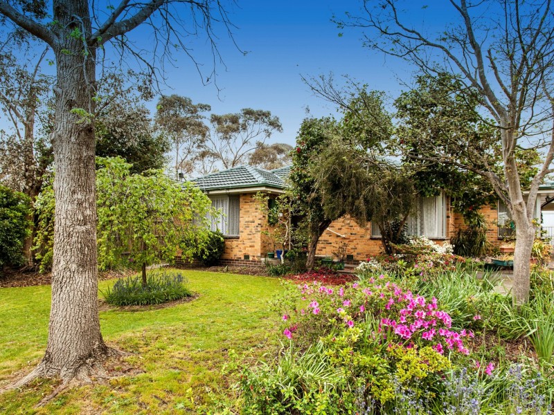 16 Winifred Road, Mooroolbark VIC 3138