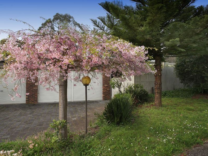 12 Timbertop Court, Mooroolbark VIC 3138