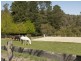 129 Killara Road, Gruyere VIC 3770