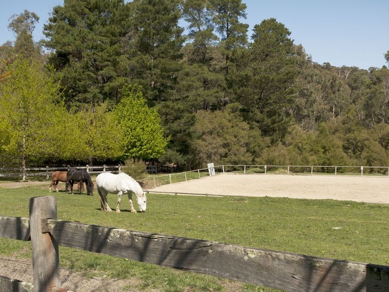 129 Killara Road, Gruyere VIC 3770