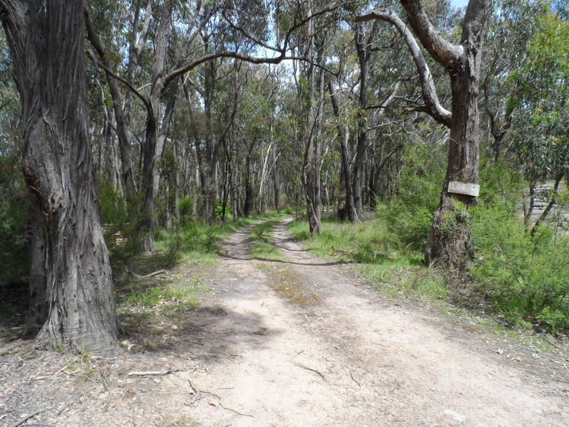 990 Buttermans Track, Christmas Hills VIC 3775