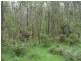 990 Buttermans Track, Christmas Hills VIC 3775
