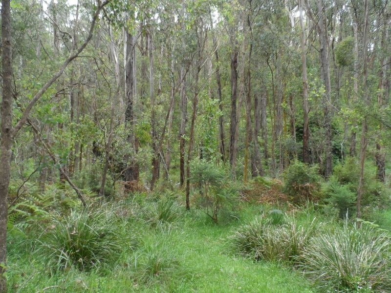 990 Buttermans Track, Christmas Hills VIC 3775