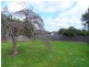247A Manchester Road, Mooroolbark VIC 3138