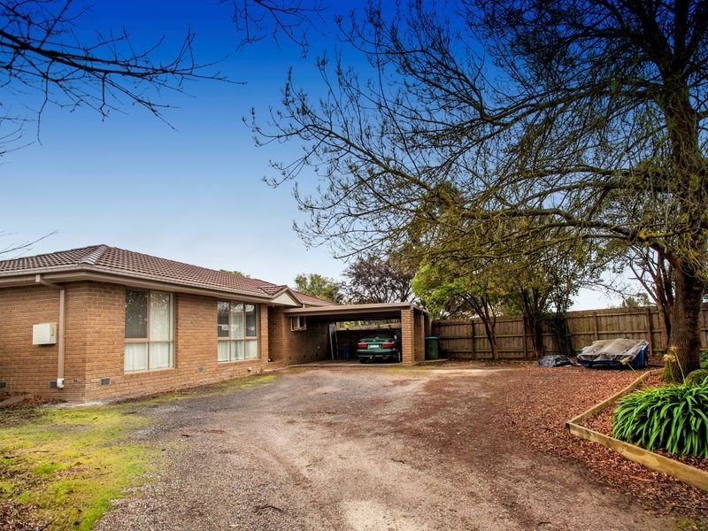 1B Newman Road, Croydon VIC 3136