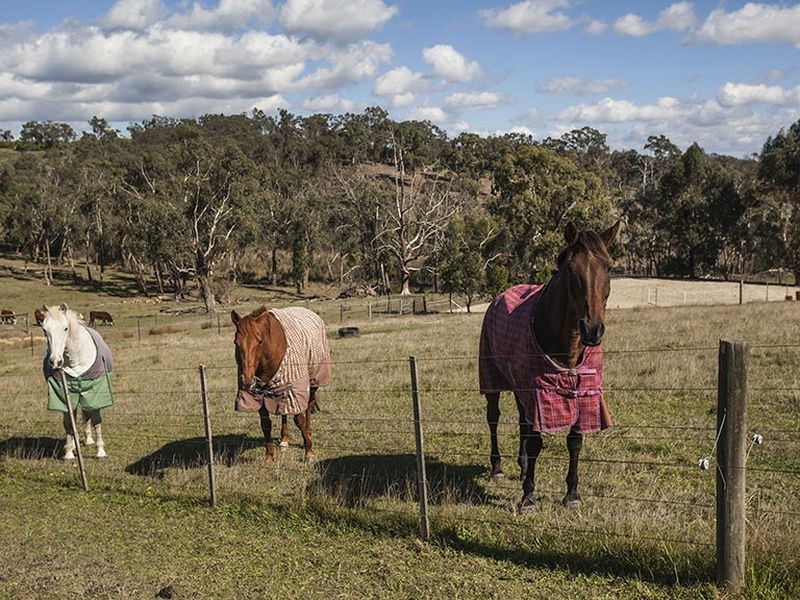 27 Gruyere Road, Gruyere VIC 3770