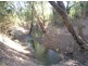 NTP 2703 Florina Road, Katherine NT 0850