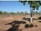 NTP 6614 Beasley Road, Katherine NT 0850