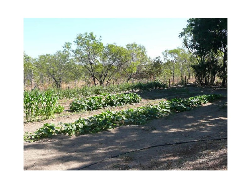 NTP 4453 Stuart Highway, Katherine NT 0850