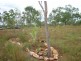 NTP 5937 Murnburlu Road, Katherine NT 0850