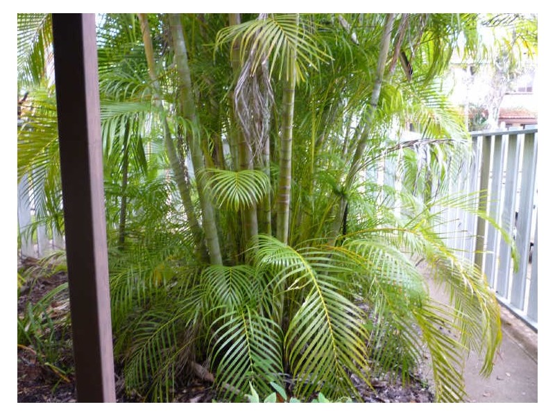 2/4 Mannion Street, Katherine NT 0850