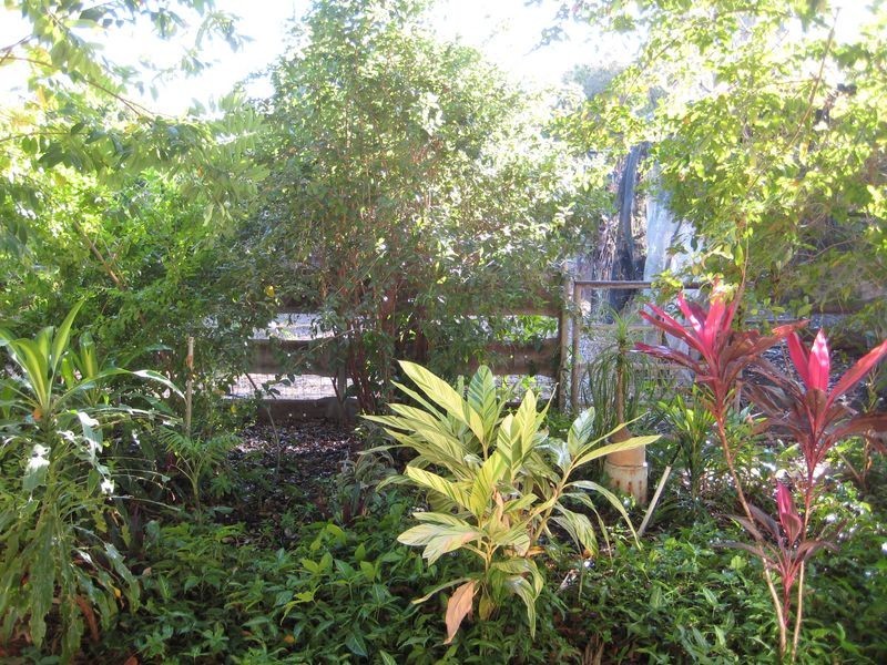 51 Collins Road, Katherine NT 0850