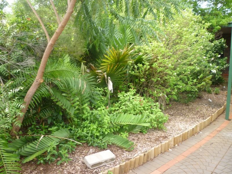 5 Cassia Court, Katherine NT 0850