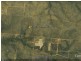 NTP 5410 ( Beasley Road EDITH FARMS, Katherine NT 0850