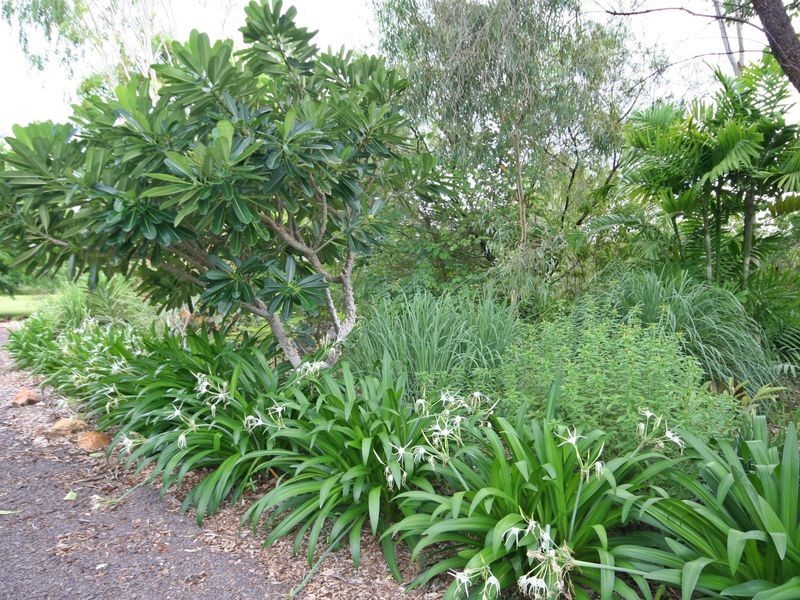 95 Hall Road, Katherine NT 0850