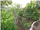 35 Heron Crescent, Katherine NT 0850
