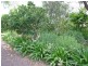 95 Hall Road, Katherine NT 0850