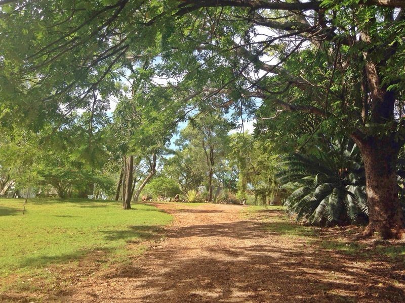 250 Collins Road, Katherine NT 0850