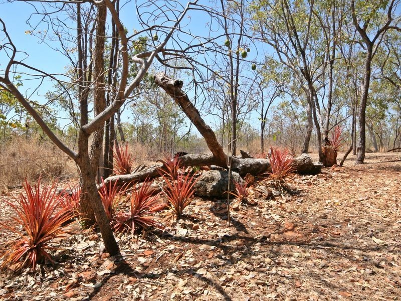 250 Collins Road, Katherine NT 0850