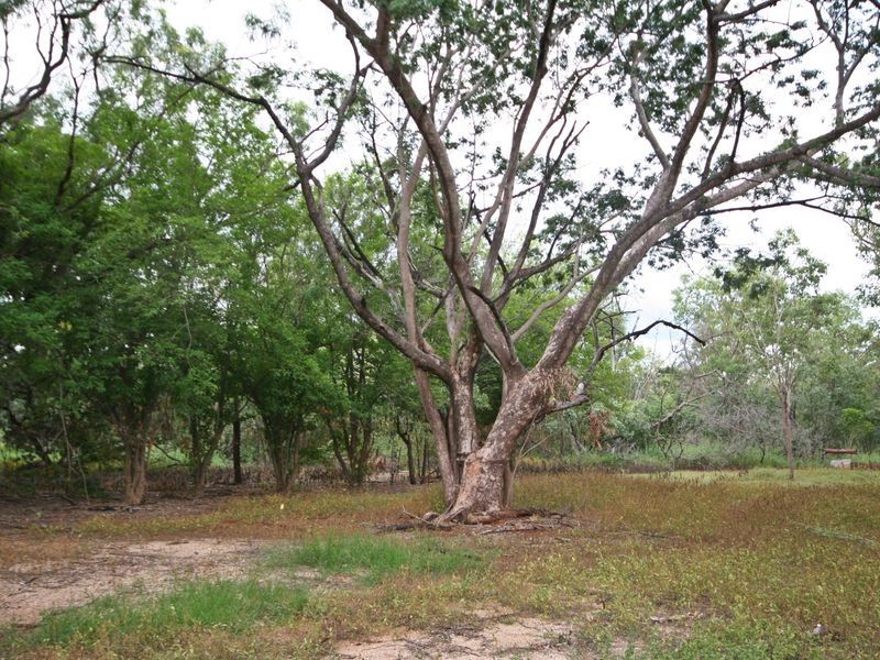 Helena Road, Katherine NT 0850