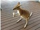 479 Gorge Road, Katherine NT 0850