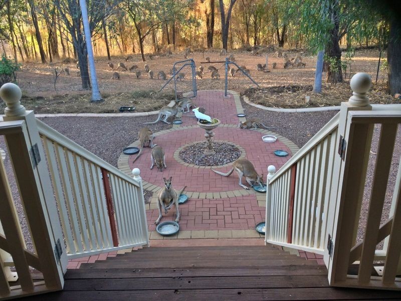 479 Gorge Road, Katherine NT 0850