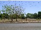 Lot 3123 Rundle Street, Katherine NT 0850