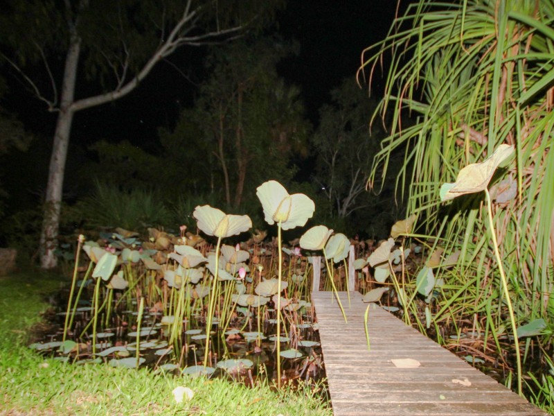 5 Usher Road, Katherine NT 0850
