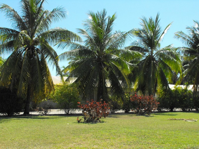 1,2,3,4 and 5/42 O’shea Terrace, Katherine NT 0850