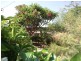 19 Providence Ct, Katherine NT 0850