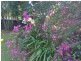 12 Hibiscus Ct, Katherine NT 0850