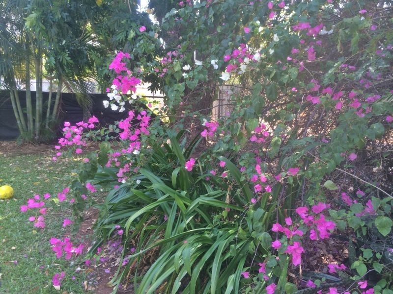 12 Hibiscus Ct, Katherine NT 0850