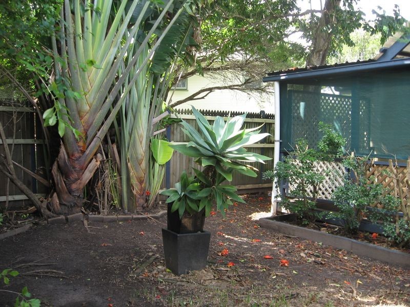 102 Ridgeway, Southport QLD 4215