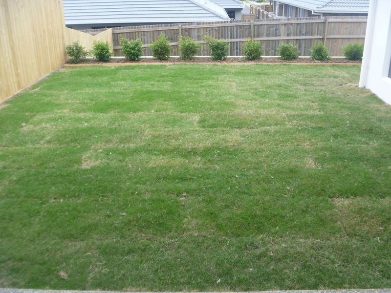 22 Santa Clara Rise, Upper Coomera QLD 4209