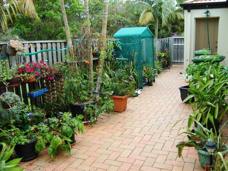 6 Crestbrook Glen, Molendinar QLD 4214