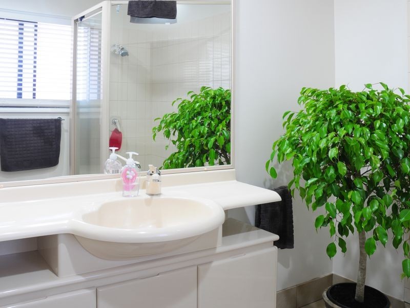 3 Flinders Avenue, Molendinar QLD 4214