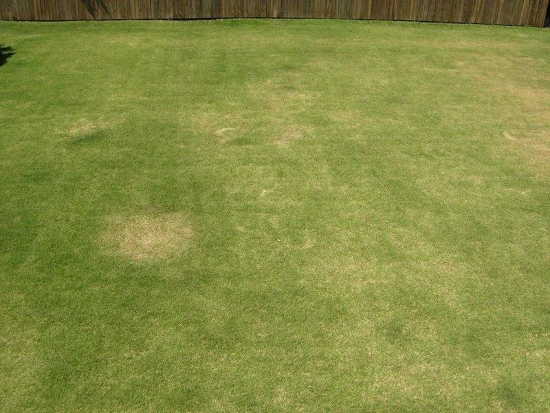 50 Central Street, Labrador QLD 4215