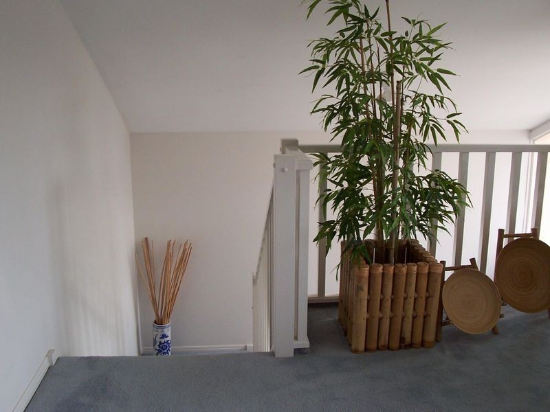 14/3 Fortuna Place, Parkwood QLD 4214