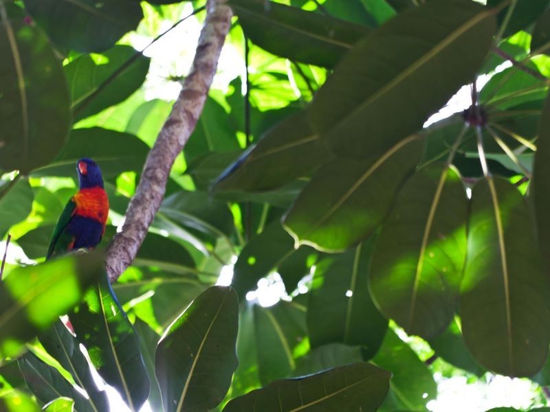 35/179 Muir Street, Labrador QLD 4215