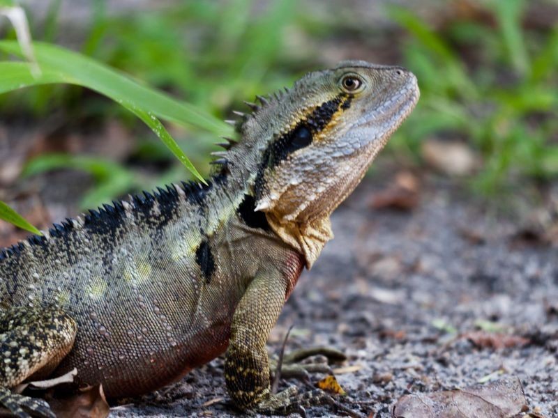 35/179 Muir Street, Labrador QLD 4215