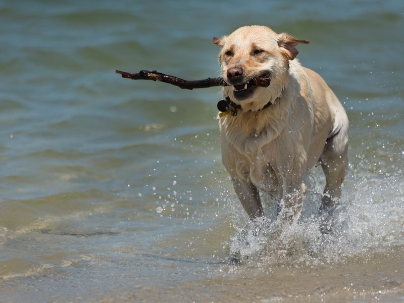 28/418 Marine Parade, Biggera Waters QLD 4216