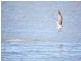 i 11/28 Bayview Street, Runaway Bay QLD 4216