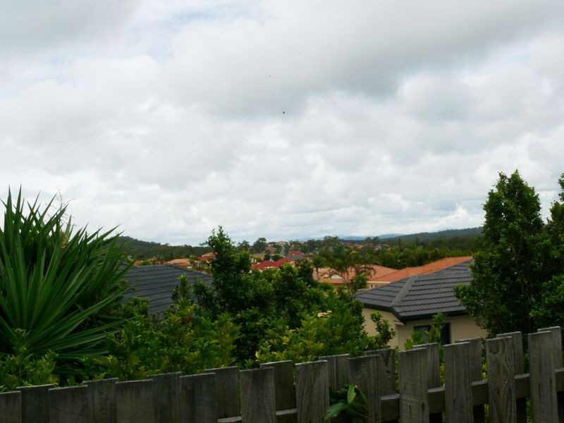 81 Marble Arch Place, Arundel QLD 4214