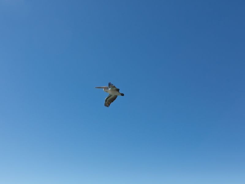 13/12 Whiting Street, Labrador QLD 4215